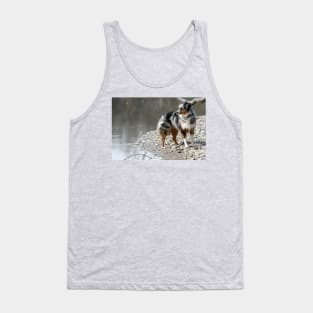 miniature american shepherd blue merle full Tank Top